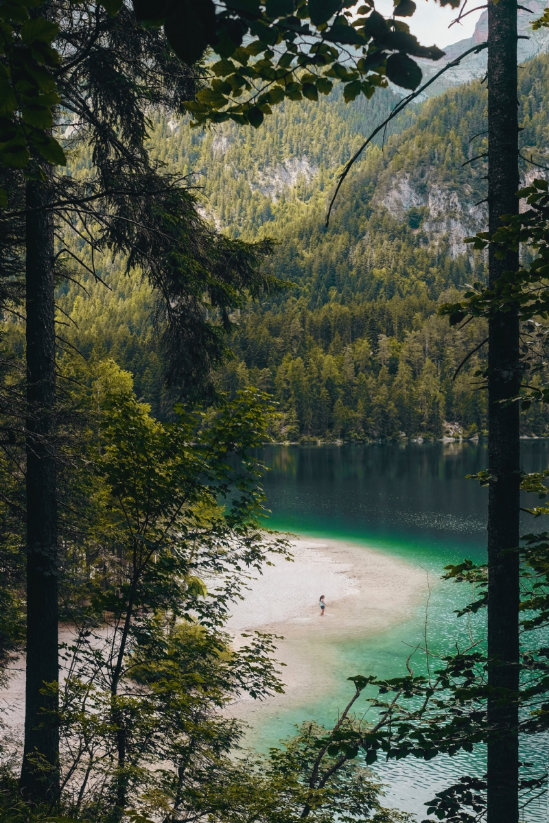 cristina-gottardi-p9xxIX-6FWU-unsplash137d.jpg 方案配图,色彩意境,绿色,