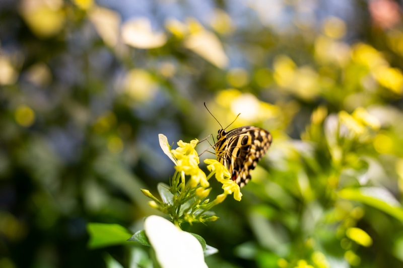 darren-halstead-q7KN8QyyR3s-unsplashddbc.jpg 方案配图,色彩意境,绿色,