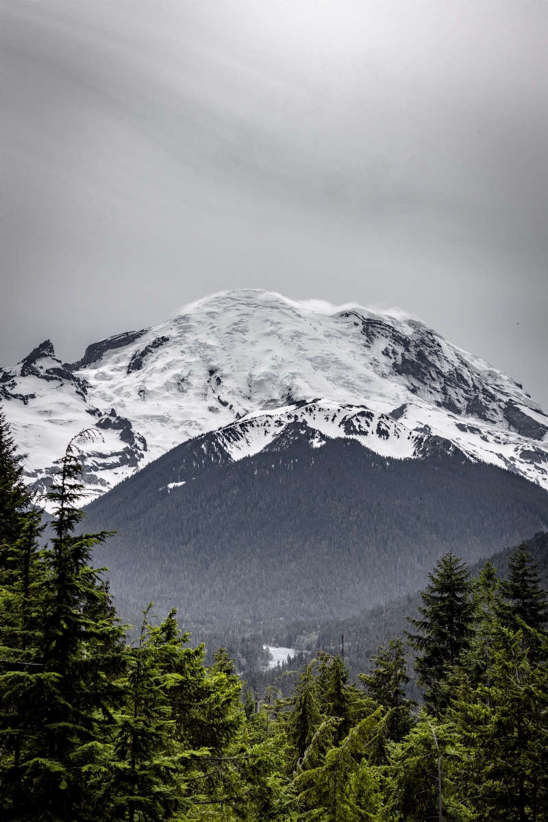 devin-h-bAEYCuZMQ1U-unsplash78f3.jpg 方案配图,色彩意境,绿色,