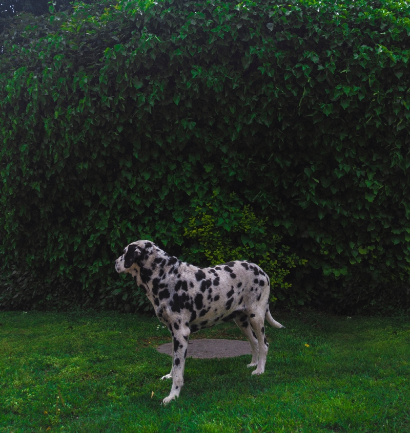 diego-gonzalez-JjEyePJdKBI-unsplash5158.jpg 方案配图,色彩意境,绿色,