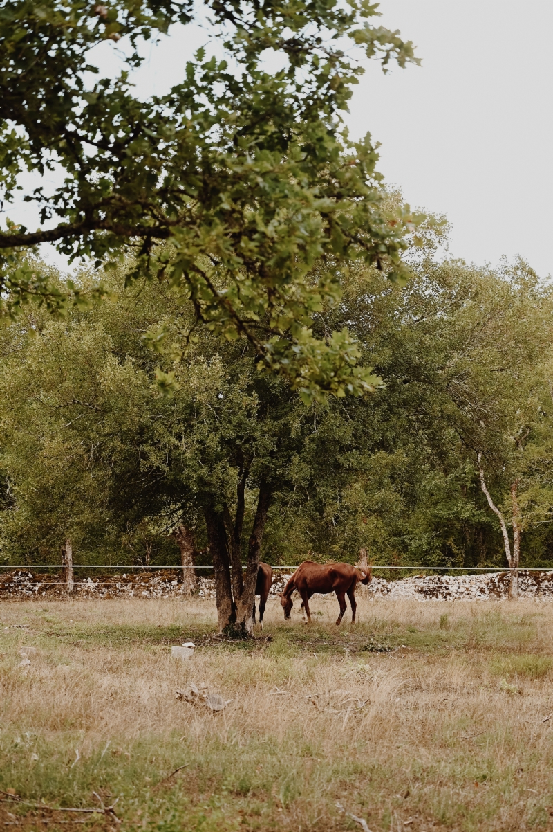 gaelle-marcel-_vSPrM02hLE-unsplash02f5.jpg 方案配图,色彩意境,绿色,