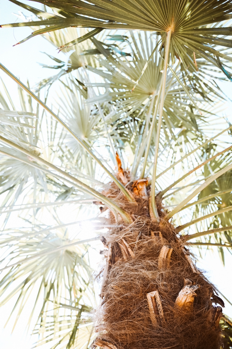 gaelle-marcel-L0euktN3N6A-unsplash5c09.jpg 方案配图,色彩意境,绿色,