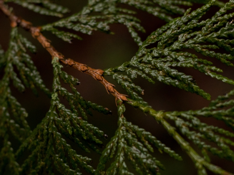 greg-rosenke-sNSpjpqb-0w-unsplash9d38.jpg 方案配图,色彩意境,绿色,