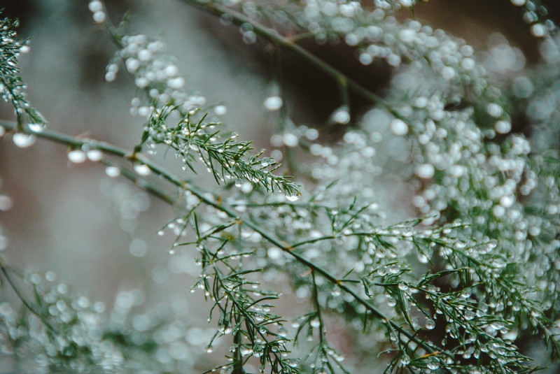 hello-i-m-nik-KHI4QQqLpzA-unsplashe2c5.jpg 方案配图,色彩意境,绿色,