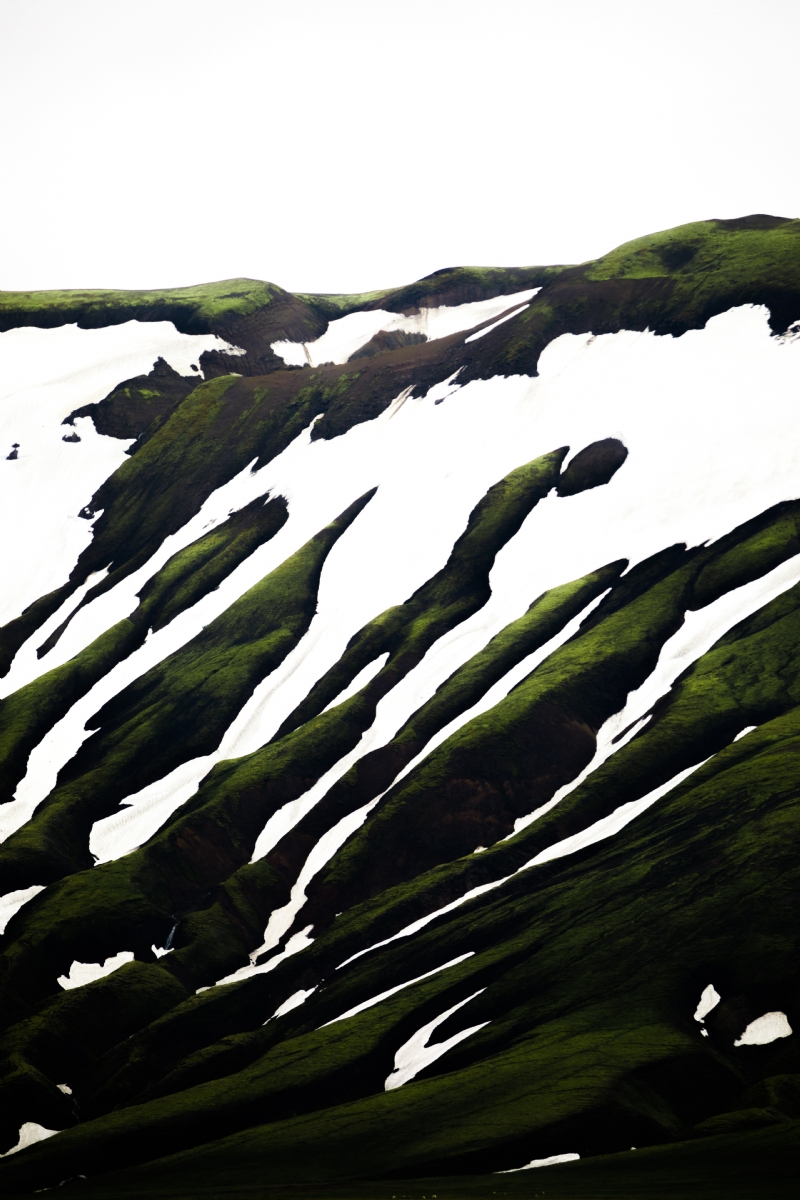 joshua-fuller-cf_KZGfROG8-unsplash41e2.jpg 方案配图,色彩意境,绿色,