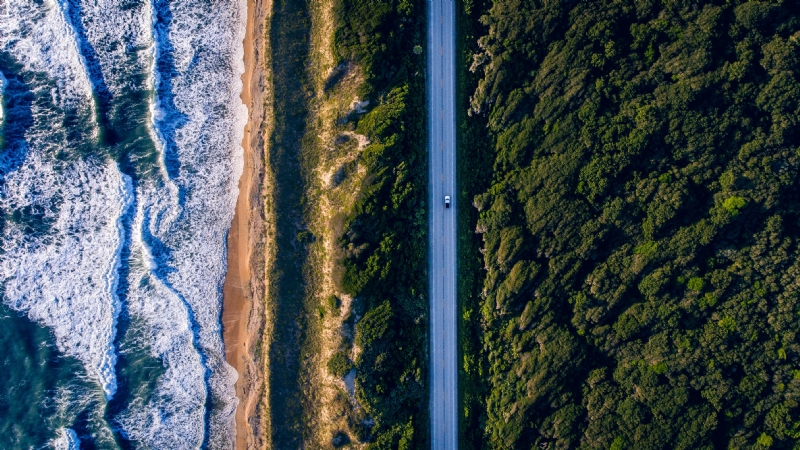 lance-asper-7bBVx1dRYrk-unsplash4af1.jpg 方案配图,色彩意境,绿色,