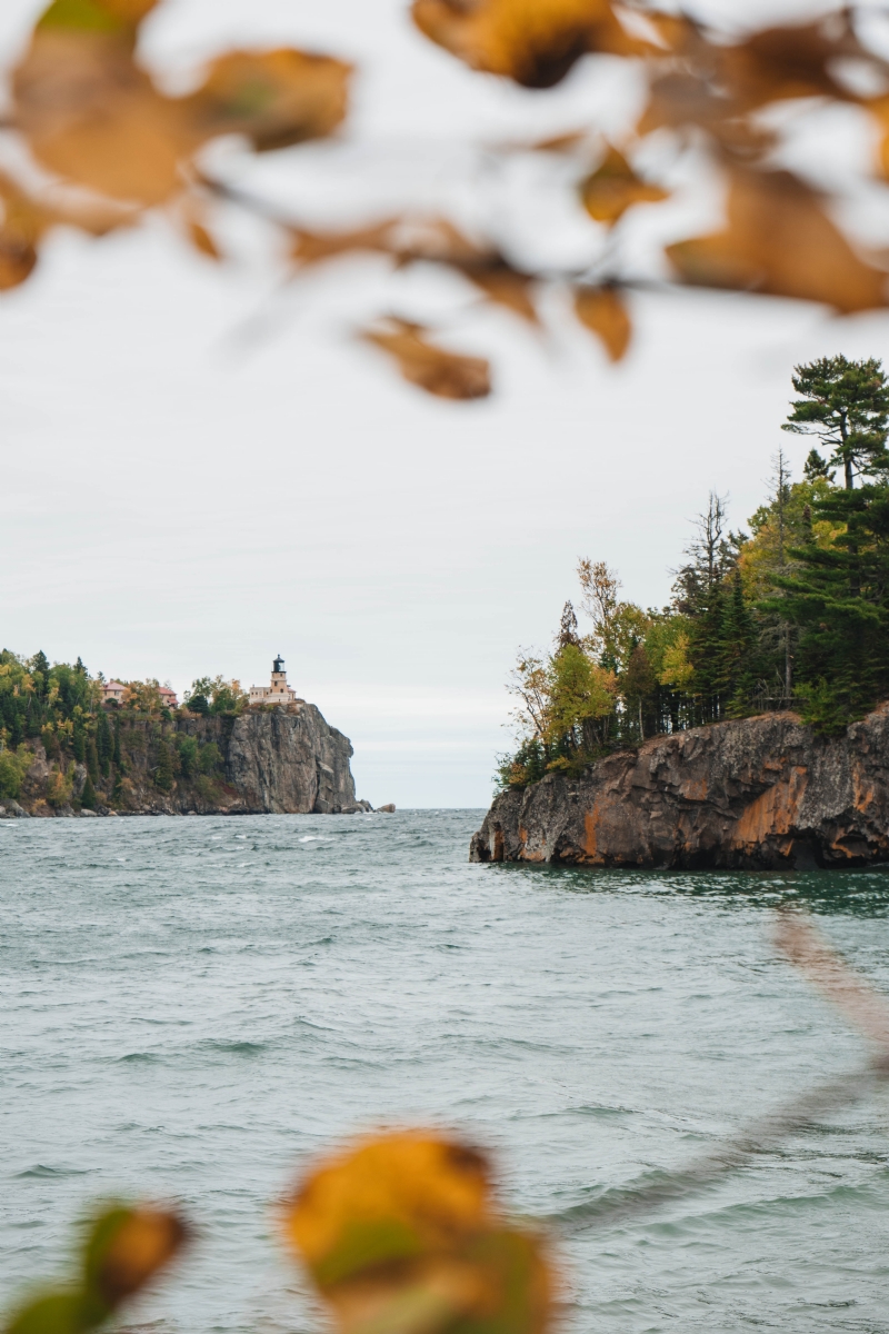 lucas-ludwig-DH2zTme9kNI-unsplash1abd.jpg 方案配图,色彩意境,绿色,