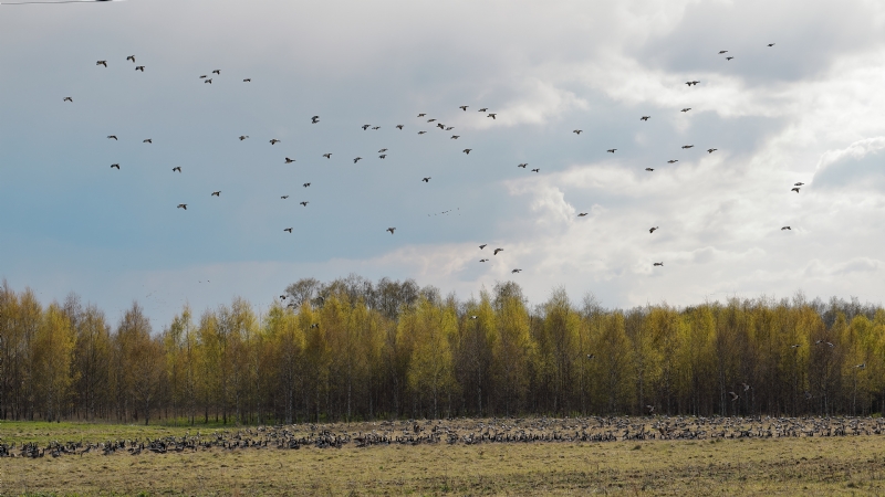 maksim-shutov-7mDjBah0OEI-unsplash2b19.jpg 方案配图,色彩意境,绿色,