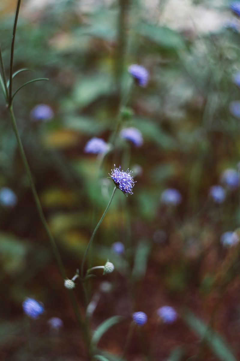markus-spiske-1IDHovc3Fgs-unsplash1d8b.jpg 方案配图,色彩意境,绿色,