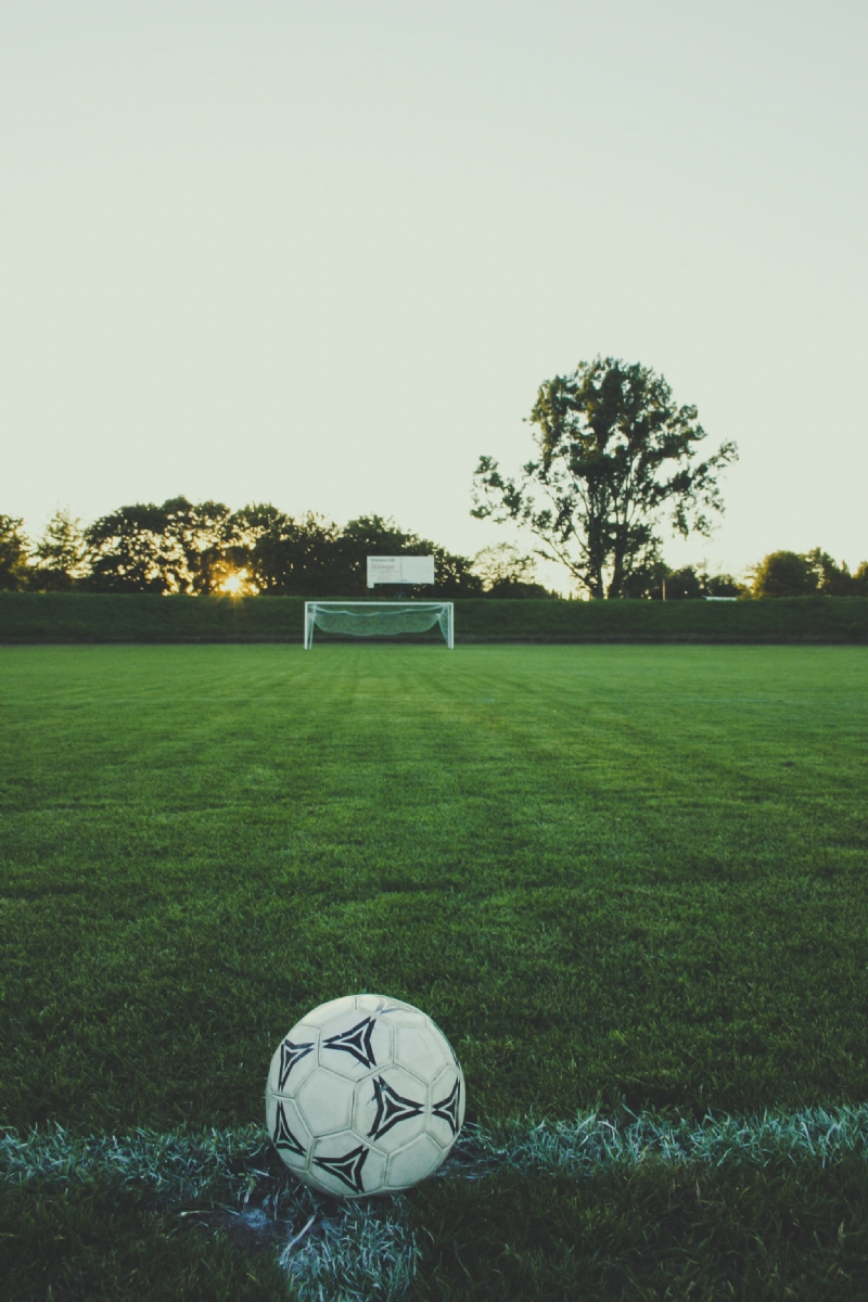 markus-spiske-KWQ2kQtxiKE-unsplash3780.jpg 方案配图,色彩意境,绿色,