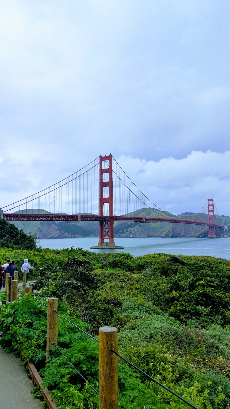 mehdi-sakout-yd4rtCrruSA-unsplash570b.jpg 方案配图,色彩意境,绿色,