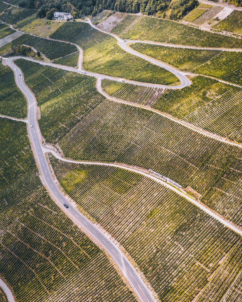mika-baumeister-YMIp7mo1Vvo-unsplash8479.jpg 方案配图,色彩意境,绿色,