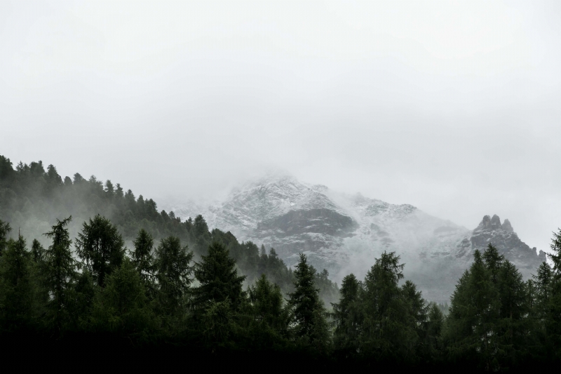 mike-dennler-T9CktnMI8TQ-unsplash17d7.jpg 方案配图,色彩意境,绿色,