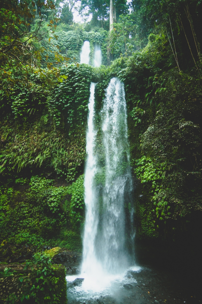 oscar-helgstrand-9JmKuxhu-7I-unsplash0e28.jpg 方案配图,色彩意境,绿色,