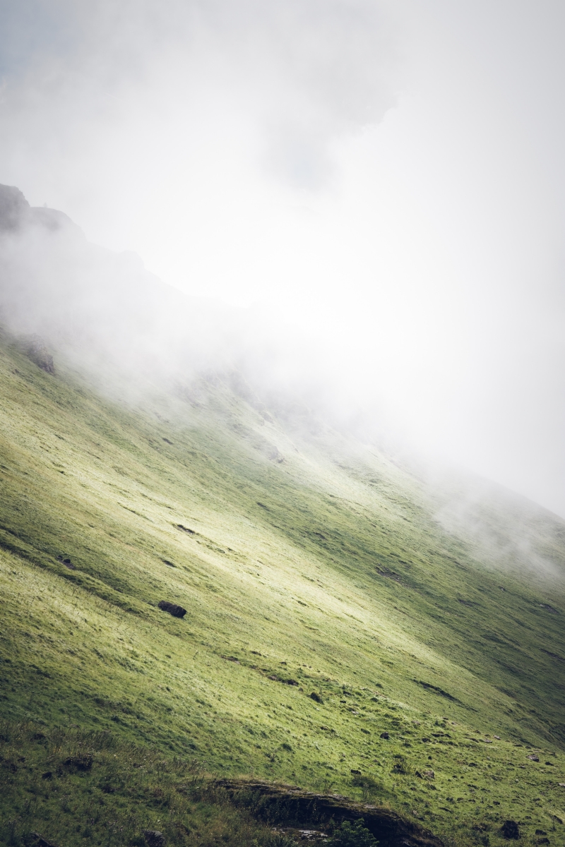 pablo-guerrero--Q1p5Gzn45c-unsplash8218.jpg 方案配图,色彩意境,绿色,