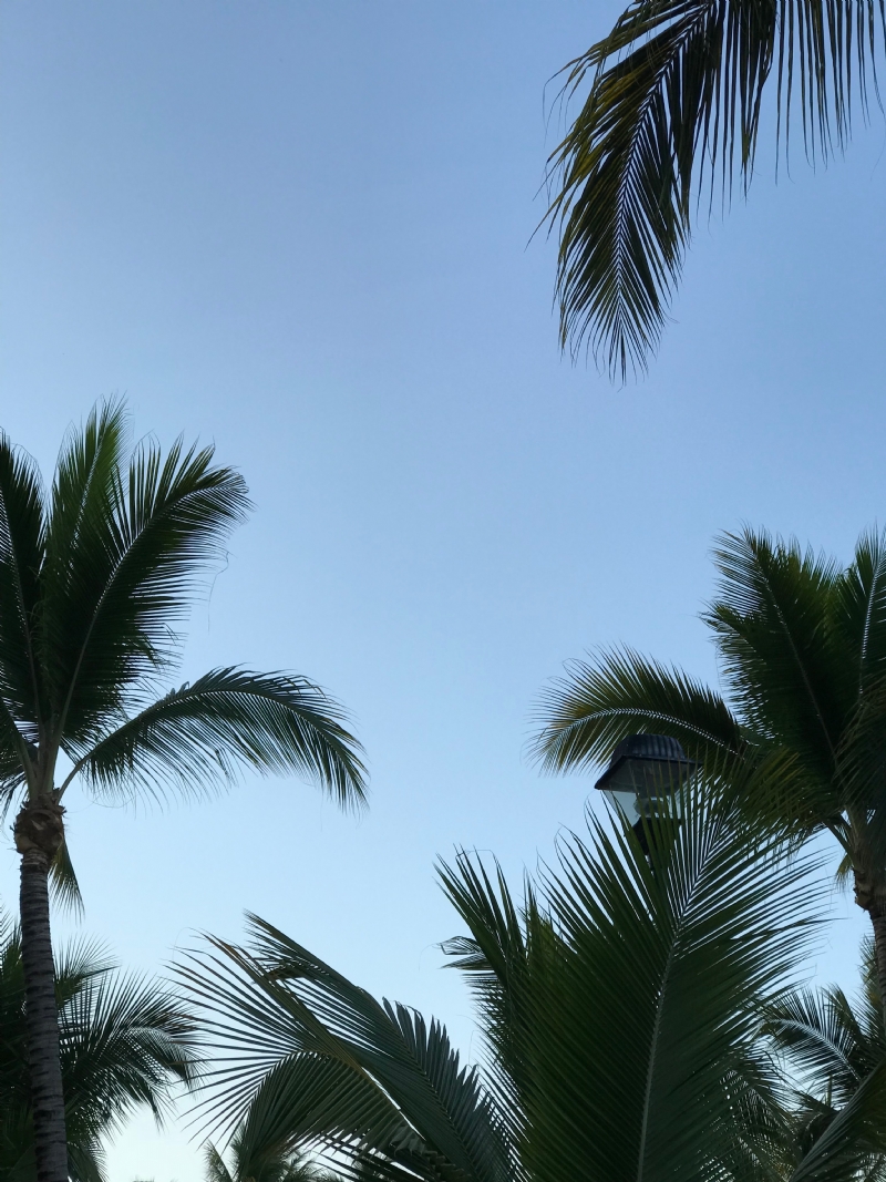 pina-messina-mDYtTOUE5tU-unsplash872b.jpg 方案配图,色彩意境,绿色,