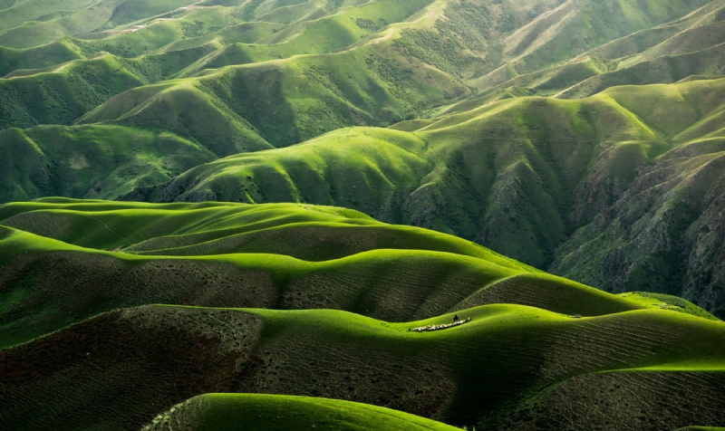 qingbao-meng-01_igFr7hd4-unsplash322b.jpg 方案配图,色彩意境,绿色,