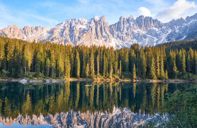 riccardo-chiarini-a4Swf9wzdKA-unsplash9b5c.jpg 方案配图,色彩意境,绿色,
