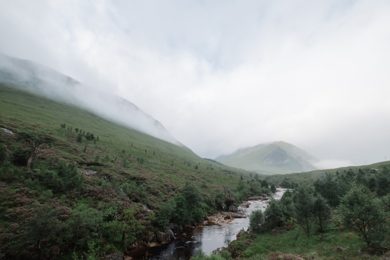 robert-bye-dENkBQc64LI-unsplash08e2.jpg 方案配图,色彩意境,绿色,
