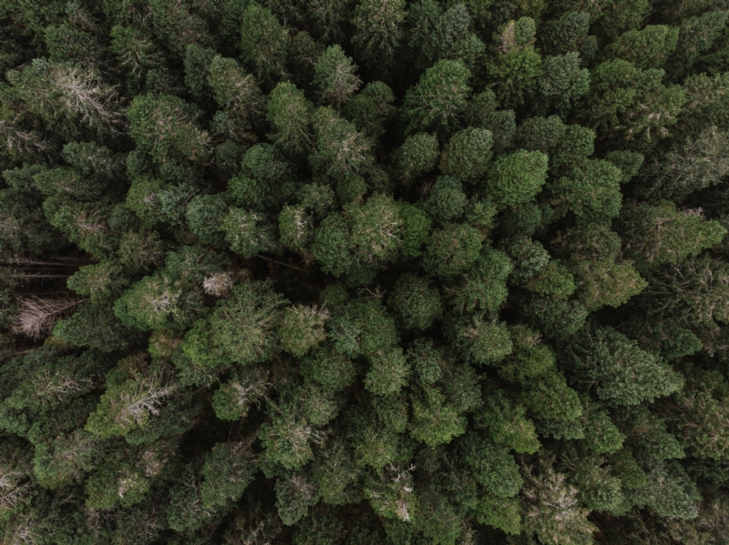 robert-bye-EKLr56NaJDw-unsplash589b.jpg 方案配图,色彩意境,绿色,