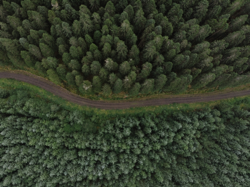 robert-bye-KoKgyntTYsk-unsplash4e61.jpg 方案配图,色彩意境,绿色,
