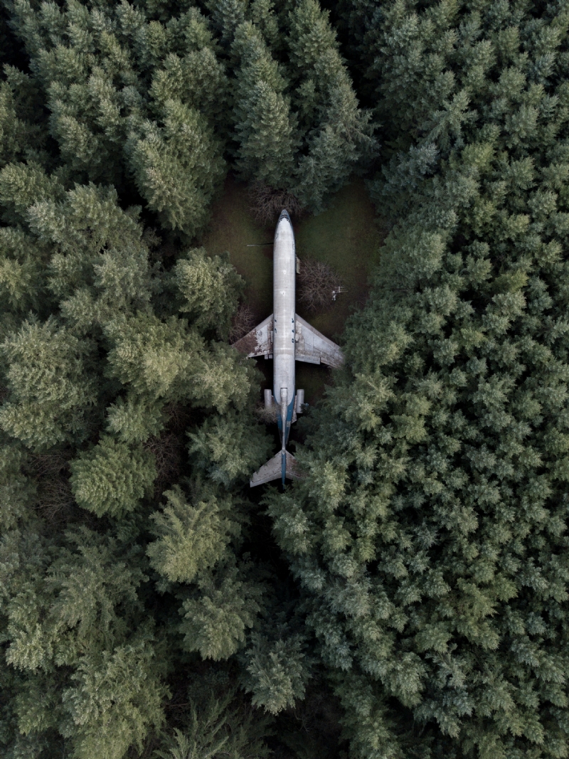 ruben-mishchuk-WsJhsoaIbzI-unsplash687e.jpg 方案配图,色彩意境,绿色,