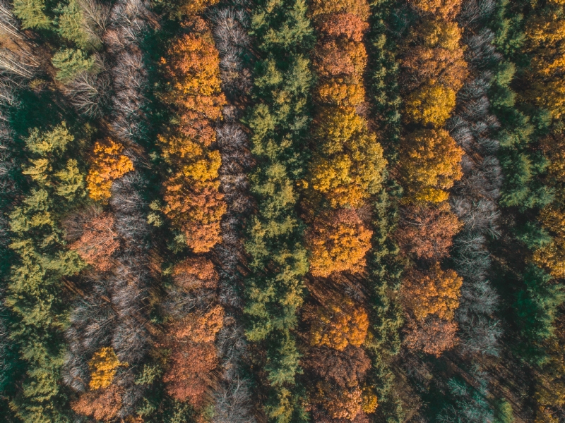 runde-imaging-bAN6fLT84qc-unsplash4d59.jpg 方案配图,色彩意境,绿色,