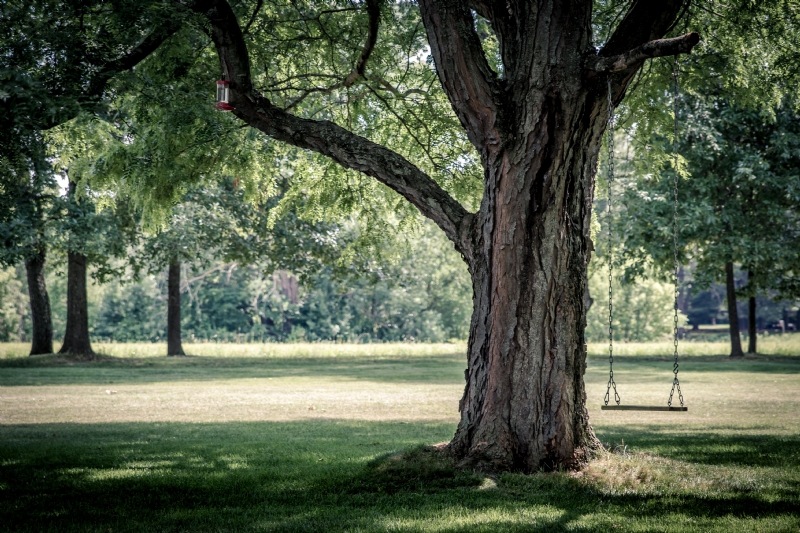 ryan-hafey-PdJjT-zYg_E-unsplash36a0.jpg 方案配图,色彩意境,绿色,