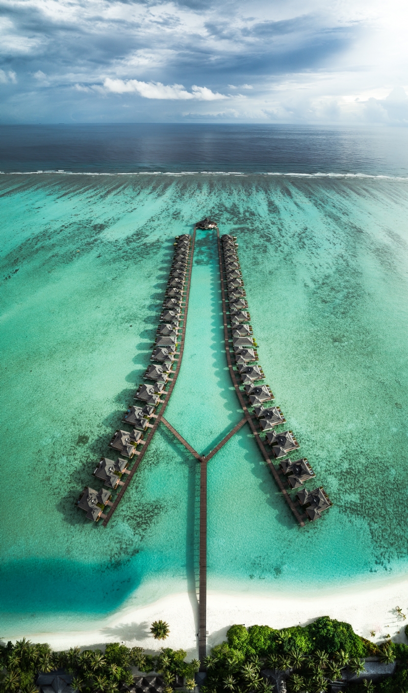 shifaaz-shamoon-0lD9SSMC6jo-unsplash58be.jpg 方案配图,色彩意境,绿色,