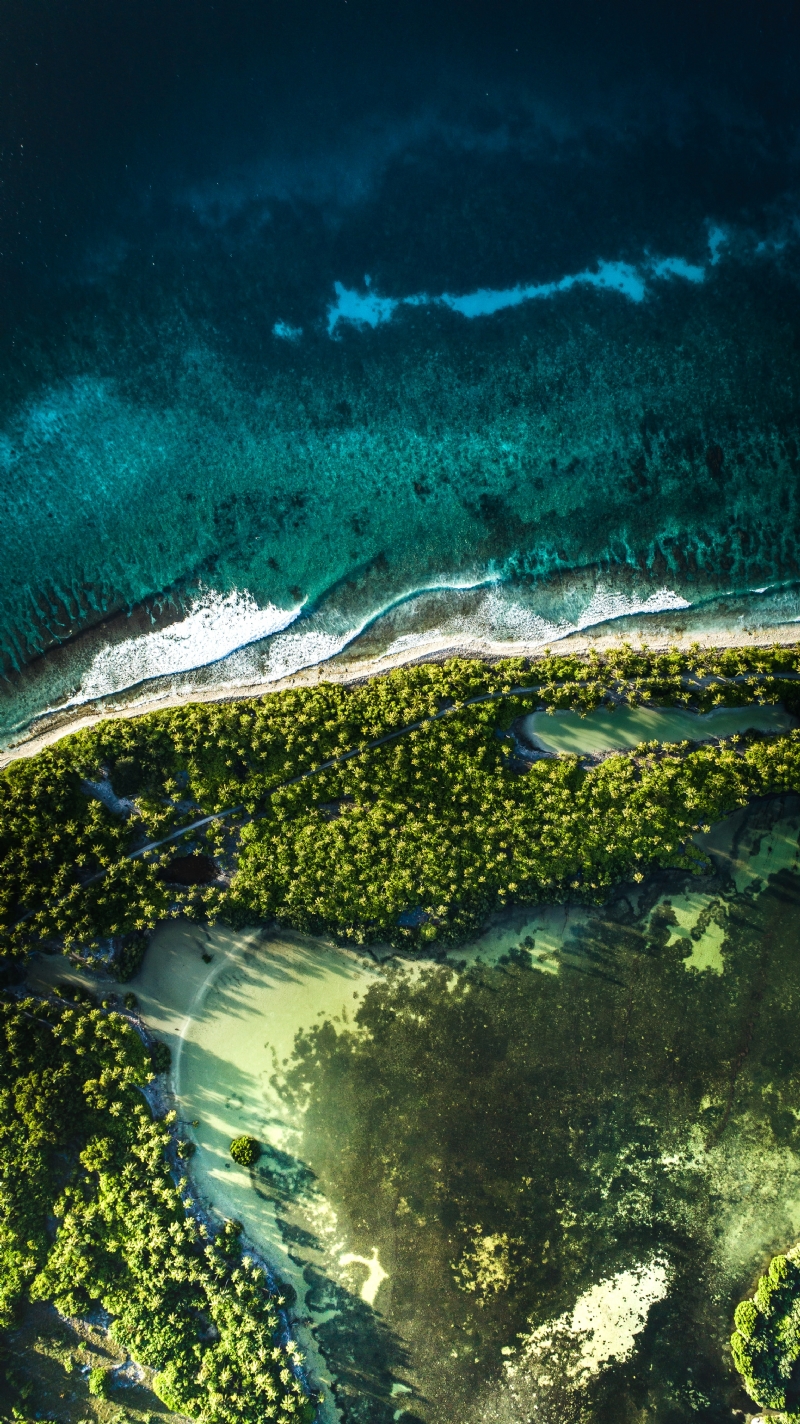 shifaaz-shamoon-4mQbBC6Do0Y-unsplash495f.jpg 方案配图,色彩意境,绿色,