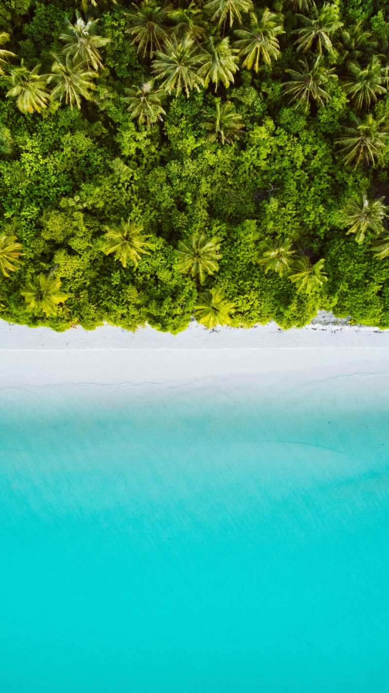 shifaaz-shamoon-58GWNC-hq_k-unsplash5f18.jpg 方案配图,色彩意境,绿色,