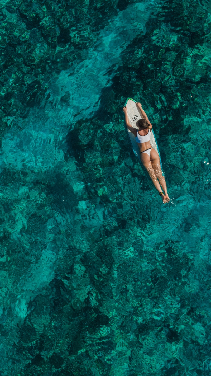 shifaaz-shamoon-nMUPWrLAgCs-unsplash3617.jpg 方案配图,色彩意境,绿色,