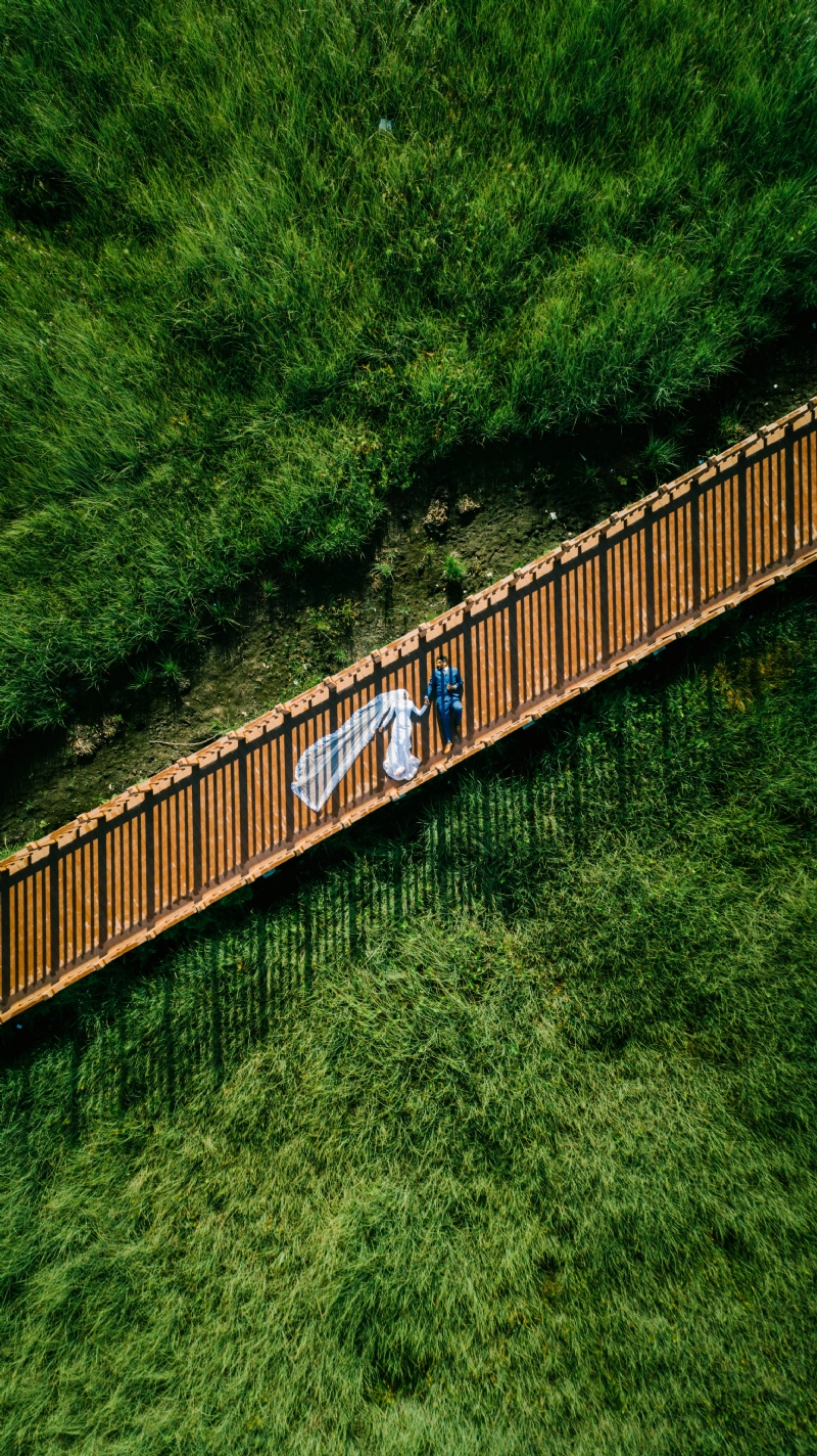 shifaaz-shamoon-PiWST3kGQcI-unsplash8680.jpg 方案配图,色彩意境,绿色,