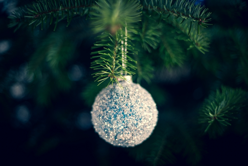 stephane-mingot-Qdcu49Mz72E-unsplash436a.jpg 方案配图,色彩意境,绿色,