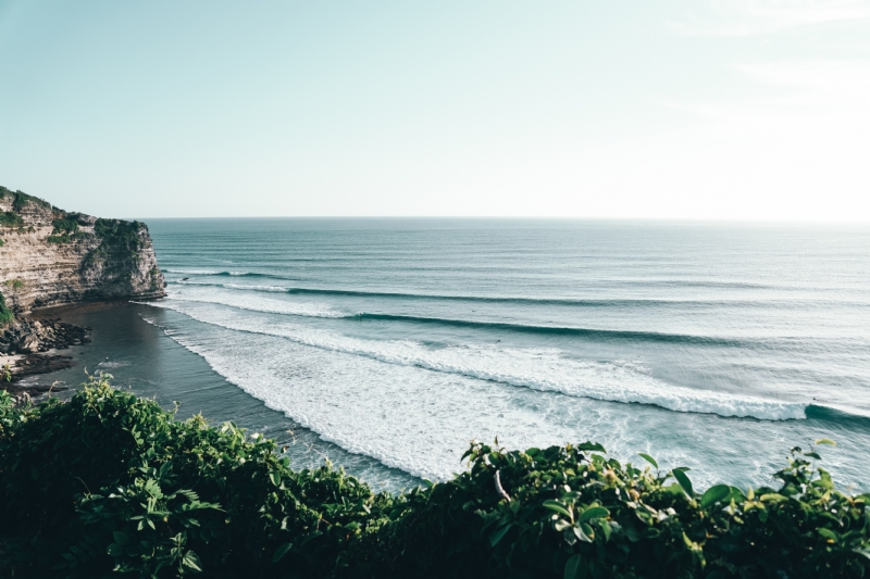 steven-wilcox-7ieg4KY_e3Q-unsplash5af6.jpg 方案配图,色彩意境,绿色,