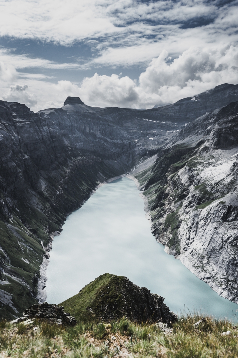 theverticalstory-kfEO-dZrdDY-unsplash08d5.jpg 方案配图,色彩意境,绿色,