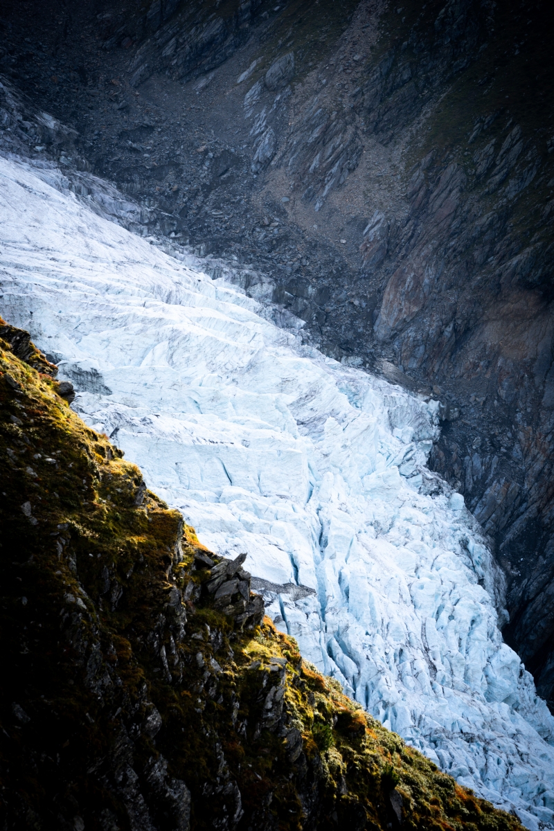theverticalstory-kHyf3_gCzvE-unsplash9f5e.jpg 方案配图,色彩意境,绿色,