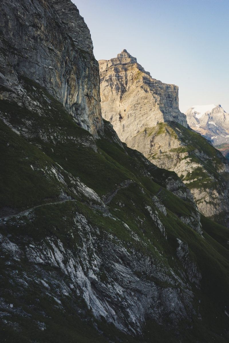 theverticalstory-qeqBfcAvX2w-unsplash0e71.jpg 方案配图,色彩意境,绿色,