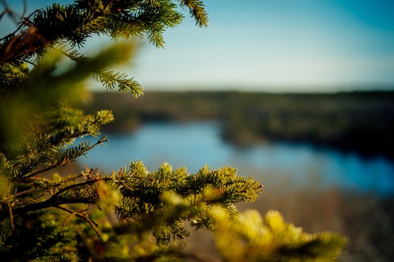 tim-foster-bMb4jSeBueM-unsplash9ad0.jpg 方案配图,色彩意境,绿色,