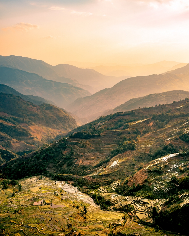 tiraya-adam-QfHEWqPelsc-unsplash0e80.jpg 方案配图,色彩意境,绿色,