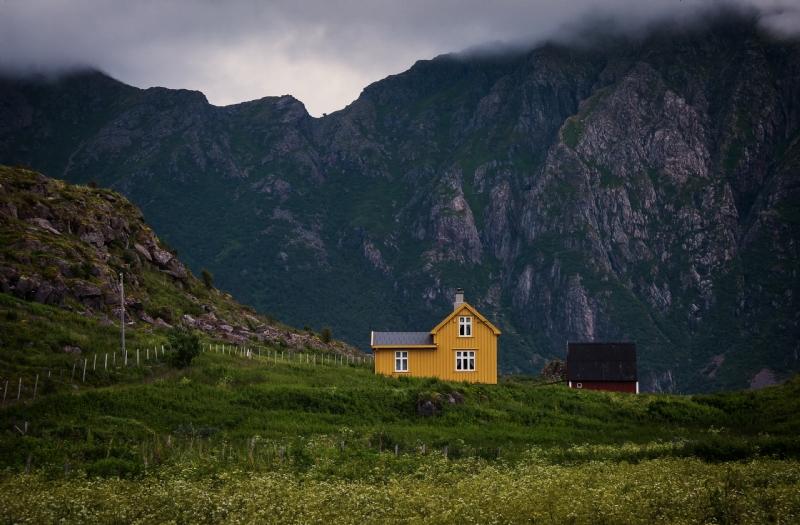 vidar-nordli-mathisen-JkMkp2qL1vc-unsplash5f51.jpg 方案配图,色彩意境,绿色,