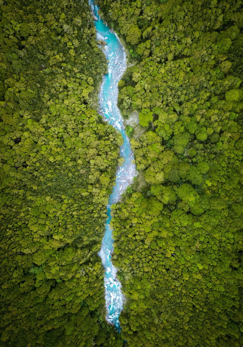 will-turner-GTPT_fNFQiE-unsplash642b.jpg 方案配图,色彩意境,绿色,