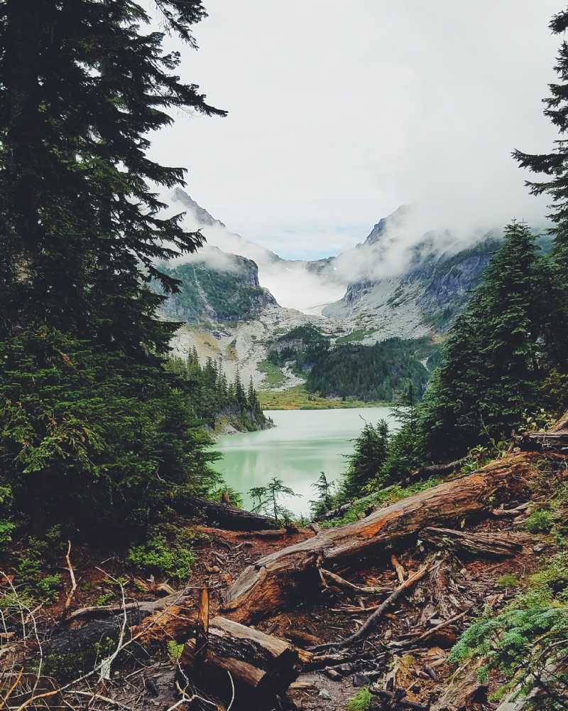 yoshi-takekawa-7wk0ja-DP_c-unsplash98d1.jpg 方案配图,色彩意境,绿色,