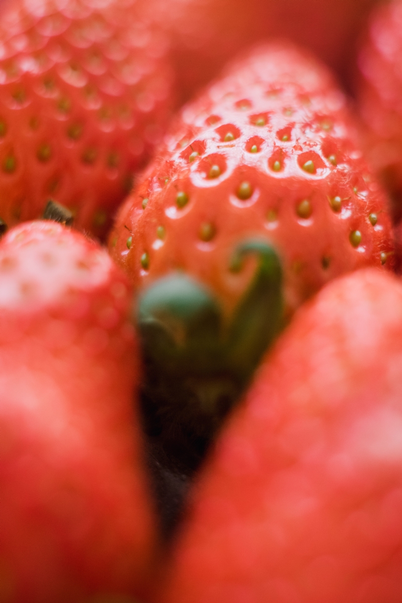 bady-qb-0jRQ-_fM0gM-unsplash92dd.jpg 方案配图,色彩意境,红色,