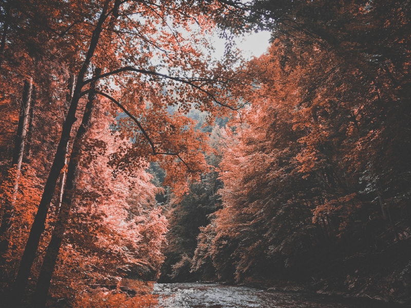 ju-on-_zZrmWCGdsg-unsplash20d8.jpg 方案配图,色彩意境,红色,
