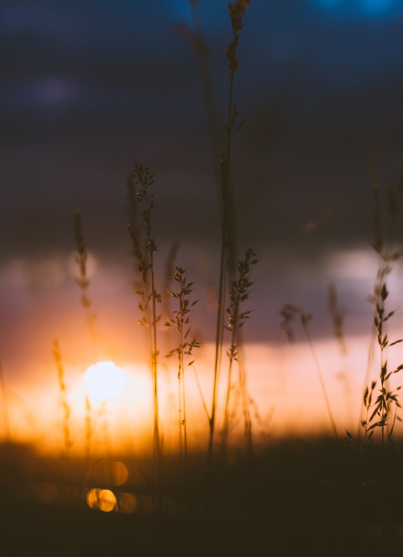 anton-darius-thesollers-vrPh1sWmV9E-unsplash2091.jpg 方案配图,色彩意境,橙色,