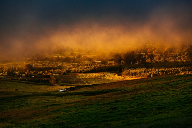 anton-repponen-8yyTB07_At4-unsplash324f.jpg 方案配图,色彩意境,橙色,