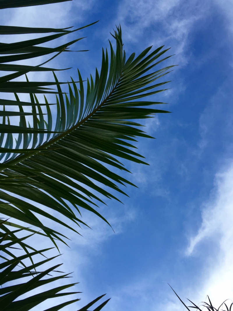 alex-harvey-8_PLDzWHuNY-unsplash898b.jpg 方案配图,色彩意境,蓝色,