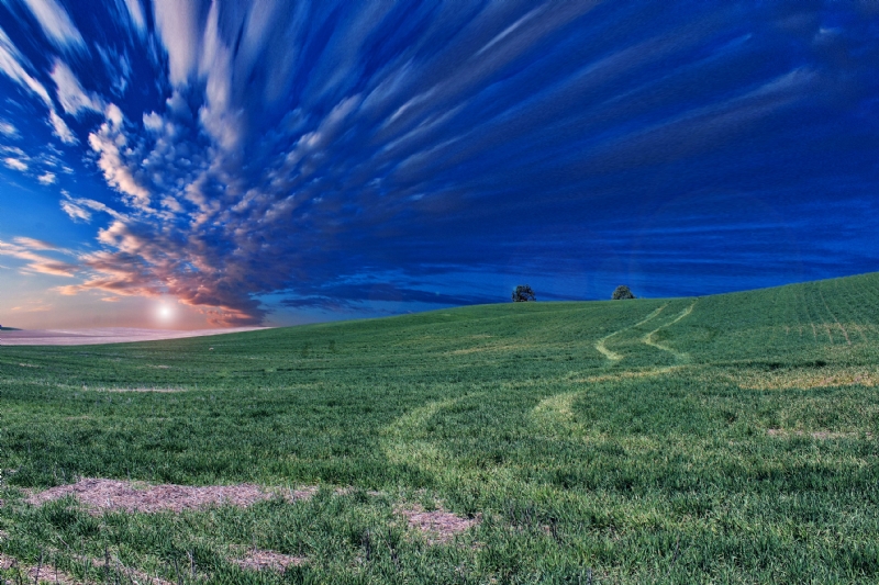 frantzou-fleurine-J_c_aVesGpk-unsplash47c5.jpg 方案配图,色彩意境,蓝色,