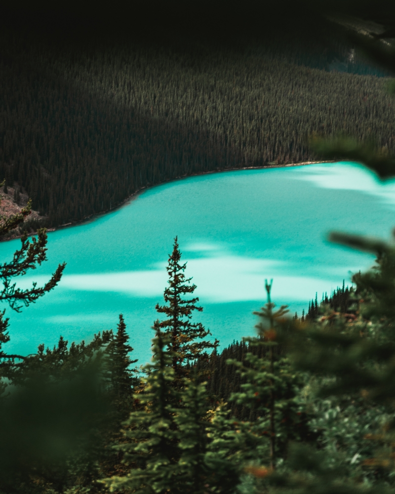 josh-alex-x6FHC3LiYAI-unsplash40ff.jpg 方案配图,色彩意境,蓝色,